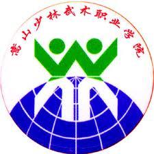 嵩山少林武术职业学院